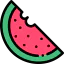 Watermelon icon 64x64
