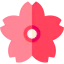 Sakura 图标 64x64