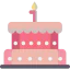 Birthday cake icon 64x64