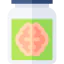 Brain icon 64x64