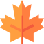Maple leaf icône 64x64