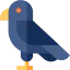 Crow icon 64x64
