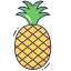 Pineapple 图标 64x64