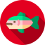 Fish アイコン 64x64