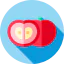 Tomato ícone 64x64