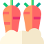 Carrots ícono 64x64