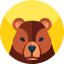 Bear icon 64x64