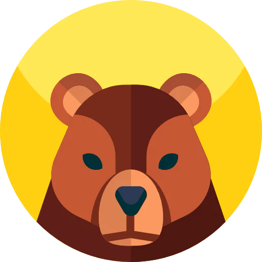 Bear icon