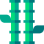 Bamboo icon 64x64
