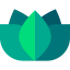Lotus flower icon 64x64