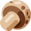 Mushroom Symbol 64x64