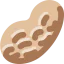Peanut icon 64x64