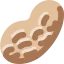 Peanut Symbol 64x64