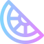 Lemon icon 64x64