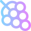 Grape icon 64x64