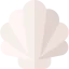 Shell іконка 64x64