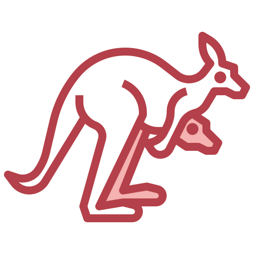 Kangaroo icon