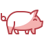 Pig icône 64x64