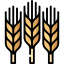 Harvest icon 64x64