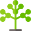 Phylogenetics biểu tượng 64x64