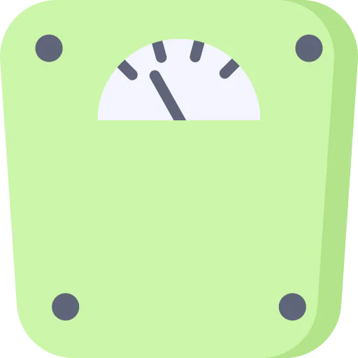 Scale icon