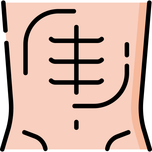 Abs icon