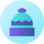 Beanie icon 64x64