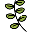 Basil icon 64x64