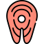 Salmon icon 64x64