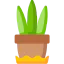 Plant ícone 64x64