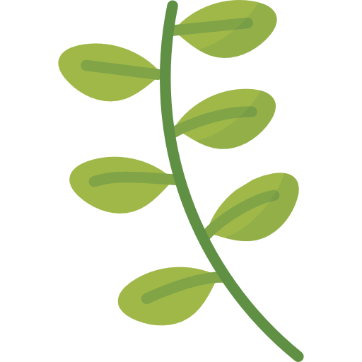 Basil icon