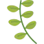 Basil icon 64x64