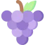 Grapes icon 64x64