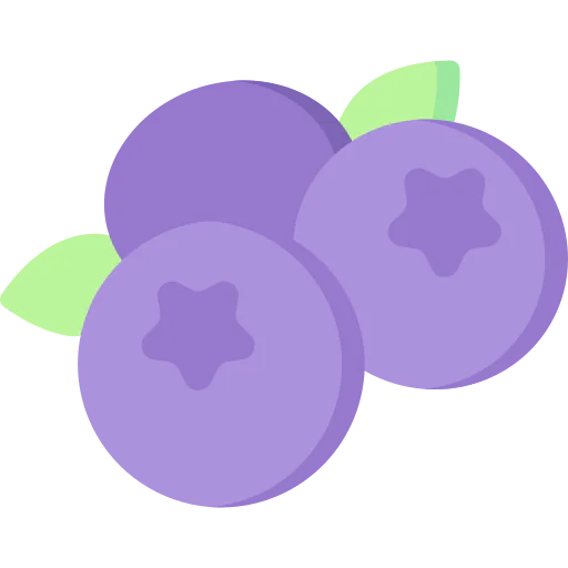 Blueberries icône