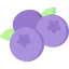 Blueberries Ikona 64x64