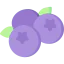 Blueberries icon 64x64