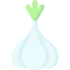 Clove garlic icon 64x64