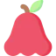 Rose apple icône 64x64