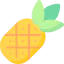 Pineapple 图标 64x64