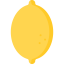 Lemon 图标 64x64