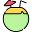 Coconut 图标 64x64