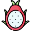 Dragon fruit 图标 64x64