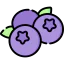 Blueberries 图标 64x64