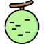 Cantaloupe 图标 64x64