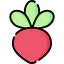 Radish 图标 64x64