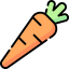 Carrot 图标 64x64