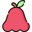 Rose apple 图标 64x64