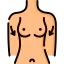 Breast icône 64x64