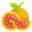 Orange 图标 64x64