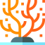 Coral 图标 64x64